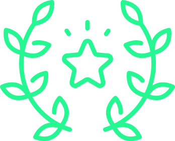 Green icon of a star with decorative leaves, symbolizing high-quality professionalism